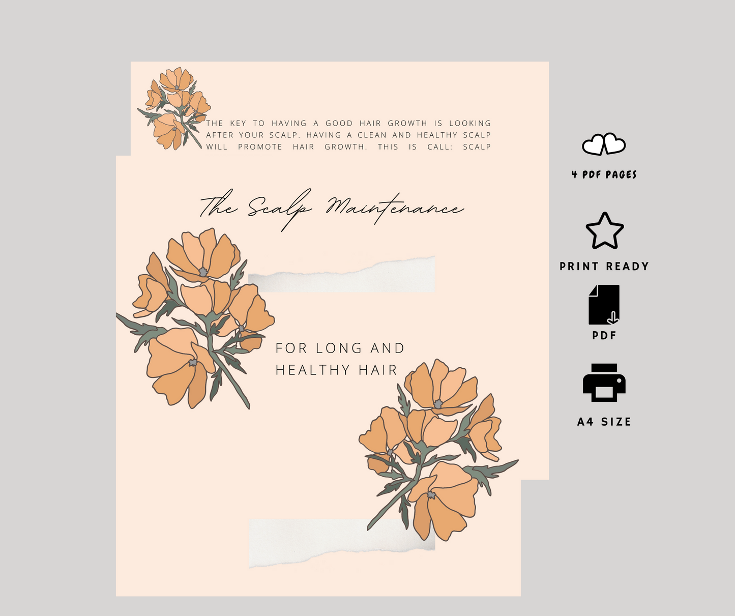 The Scalp Maintenance - PDF Guide