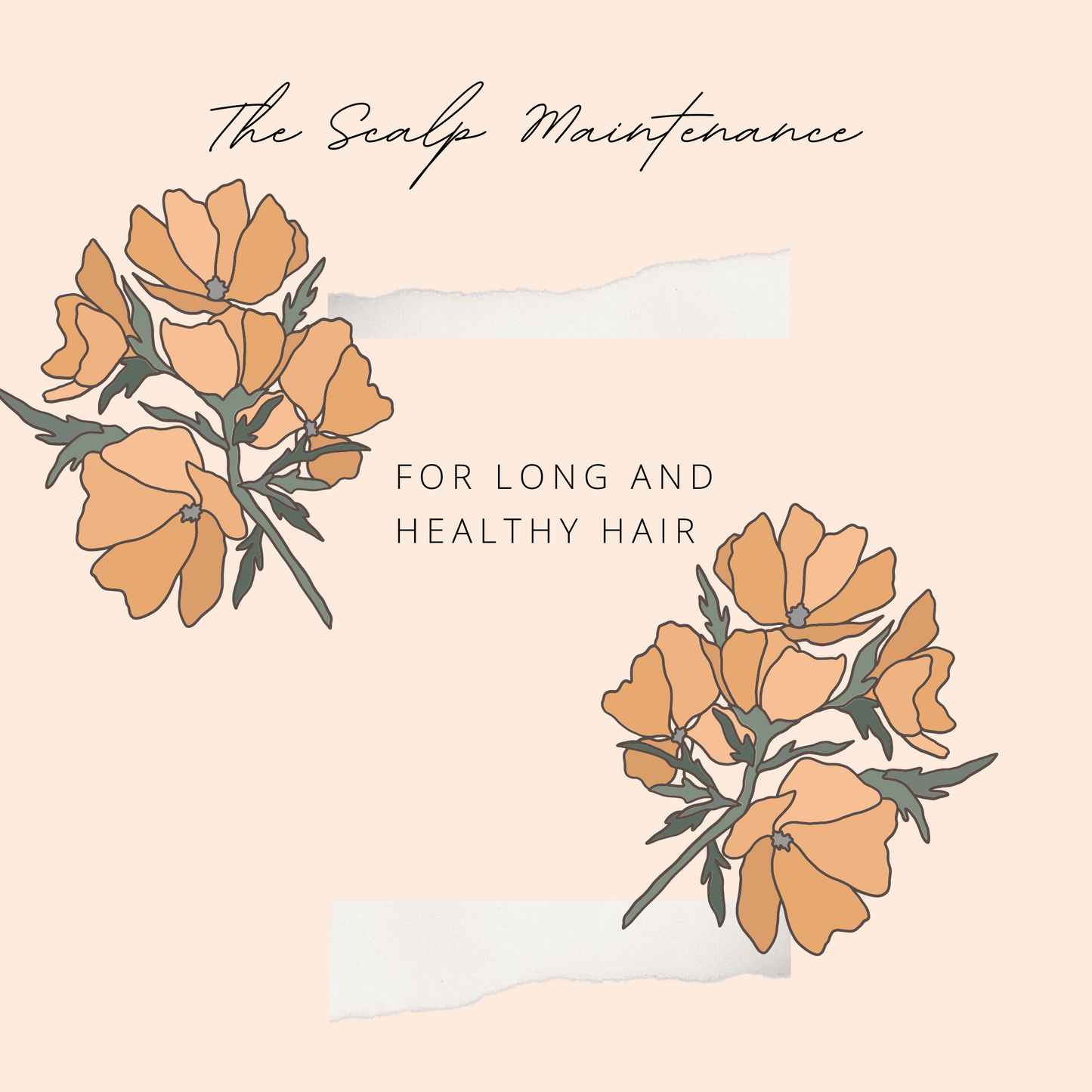 The Scalp Maintenance - PDF Guide